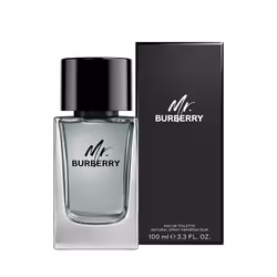 Mr Burberry eau de toilette vaporisateur 100 ml