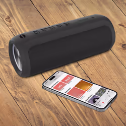 Akashi Nishin Enceinte portable stéréo Noir 10 W