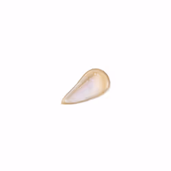 Absolue le serum recharge 30 ml