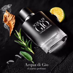 Acqua Di Giò Parfum eau de parfum vaporisateur 100 ml