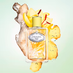 Infusion De Gingembre eau de parfum vaporisateur 100 ml