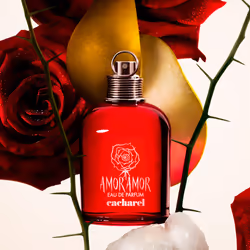 Amor Amor eau de parfum vaporisateur 30 ml