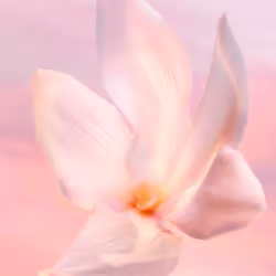 La Vie Est Belle Vanille Nude eau de parfum vaporisateur 50 ml - Vue supplémentaire 3