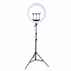 YONIS Ring Light LED 21 Pouces Avec Trépied