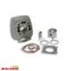 Cylindre Malossi pour Mobylette Peugeot 50 103 SP 31 6746 / Ã˜40mm