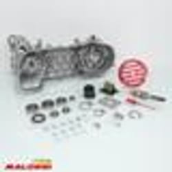 Carter moteur Malossi pour scooter MBK 50 Nitro 5716668 / MHR RC-One