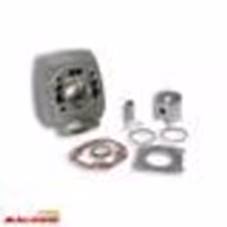 Cylindre Malossi pour Mobylette Peugeot 50 103 HP2 1971 à 2020 - MFPN : -99613-12N