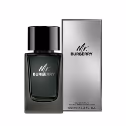 M. Burberry eau de parfum vapeur 100 ml