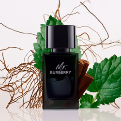M. Burberry eau de parfum vapeur 100 ml