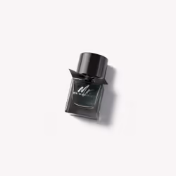 Burberry Mr., Hommes, 50 ml, Flacon non réutilisable, Cannelle, Estragon, Patchouli, Ambre, Vétiver