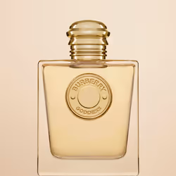 Burberry Goddess Intense 50ml Femmes - Vue supplémentaire 5