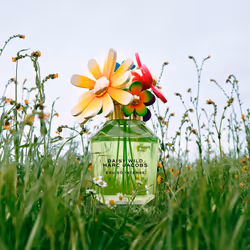 Daisy Wild Eau So Intense eau de parfum vaporisateur 100 ml - Vue supplémentaire 2