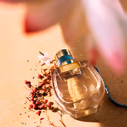 Chloé Nomade Lumière d'Egypte 75 ml Femmes - Vue supplémentaire 4
