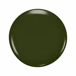 Vernis à ongles Nailfinity #595-chambre verte