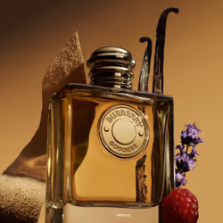 Burberry Goddess 50 ml Femmes