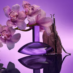 Calvin Klein Euphoria Bold Elixir Parfum Intense for Women 50 ml Femmes - Vue supplémentaire 3