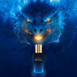 Davidoff Cool Elixir 50 ml Hommes - Vue supplémentaire 4