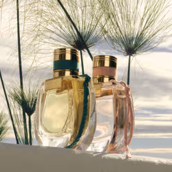 Chloé Nomade Jardin d'Égypte 50 ml Femmes - Vue supplémentaire 5