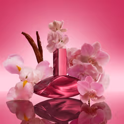Calvin Klein Euphoria Magnetic Elixir Parfum Intense for Women 50 ml Femmes - Vue supplémentaire 3