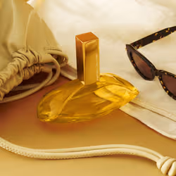Calvin Klein Euphoria Solar Elixir Parfum Intense for Women 50 ml Femmes - Vue supplémentaire 5