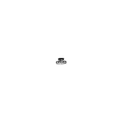 Rondelle moteur Aspirateur RS-RT3664 ROWENTA Aspirateur RS-RT3664 ROWENTA