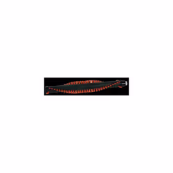 Brosse pour aspirateur MOULINEX FS-9100025691 Appareils compatibles : [ASPIRATEUR MOULINEX: ] MS6543WH/BA0, MS6545WI/BA0, RH6 ...