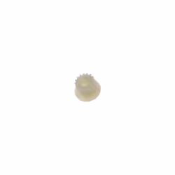 Pignon moteur Machine à pain SS-1600005711, SS-1600007335 MOULINEX Machine à pain SS-1600005711, SS-1600007335 MOULINEX | Mod ...