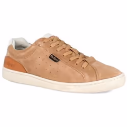 Kickers Baskets basses Cuir Kick Salem