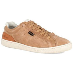 Kickers Baskets basses Cuir Kick Salem