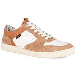 Kickers Baskets basses Cuir Kick Sackers