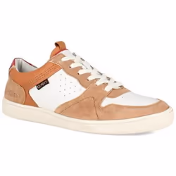 Kickers Baskets basses Cuir Kick Sackers