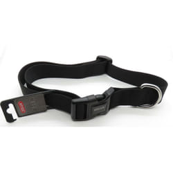 Zolux - collier nylon 50 - 80 cm x 40 mm noir pour chien.