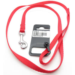 Zolux - Laisse nylon 1 m x 10 mm rouge pour chien