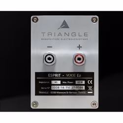 Triangle Voce EZ haut-parleur 2-voies Noir Avec fil 80 W