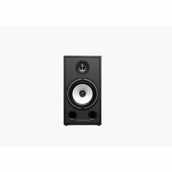 Triangle BR03 haut-parleur 2-voies Noir Avec fil 100 W - Vue supplémentaire 4