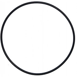 Aqualux - Joint torique diamètre 200 mm de diamètre pour dome de filtre Calpas ancien mod le (d 19