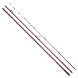 Canne Surfcasting - DAIWA - Primecaster Slim 30450 HFCE - 4.25m - 560g - P.100-200g