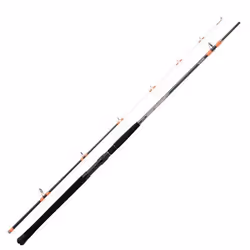 Canne à Pêche - DAIWA - Megaforce Boat 21 H - Carbone - 180m à 240m - Mixte