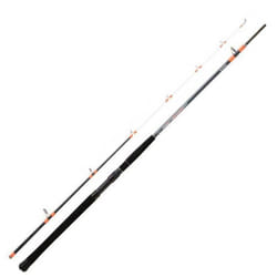 Canne à Pêche - DAIWA - Megaforce Boat 21 H - Carbone - 180m à 240m - Mixte
