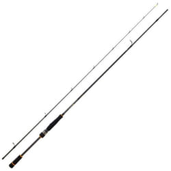 Canne Rockfishing - DAIWA - BG Rockfish 762 LFS - 229m - 108g - Carbone