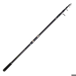 Canne télescopique Daiwa Widow Multi 36 TH