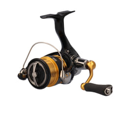 Bobine moulinet Daiwa LEG23LT1000DXH
