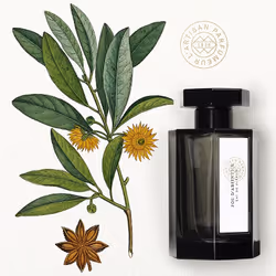L'Artisan Parfumeur Fou d'Absinthe 100ml Unisexe