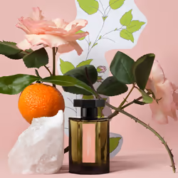 L'Artisan Parfumeur Mémoire de Roses 100ml Unisexe