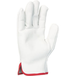 Singer - Paire de gants tout fleur de bovin - Coloris naturel - Serrage élastique - Taille 10 - 56GN10
