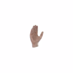 Gant vinyle à usage unique. Intérieur légèrement poudré Bord roulé Non stérile Ambidextre Boîte distributrice
