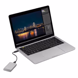 LaCie STKS1000400 lecteur à circuits intégrés externe 1 To Argent - Vue supplémentaire 4