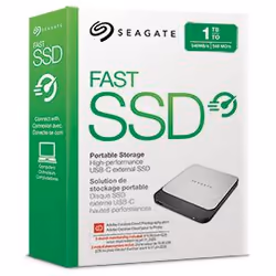 Seagate Fast 1 To Noir