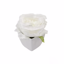Rose artificielle - Non spécifié - Modèle non spécifié - Couleur blanche - Paillettes dorées - Pot 8x6cm