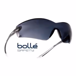 Bollé Cobra Lunettes de sécurité